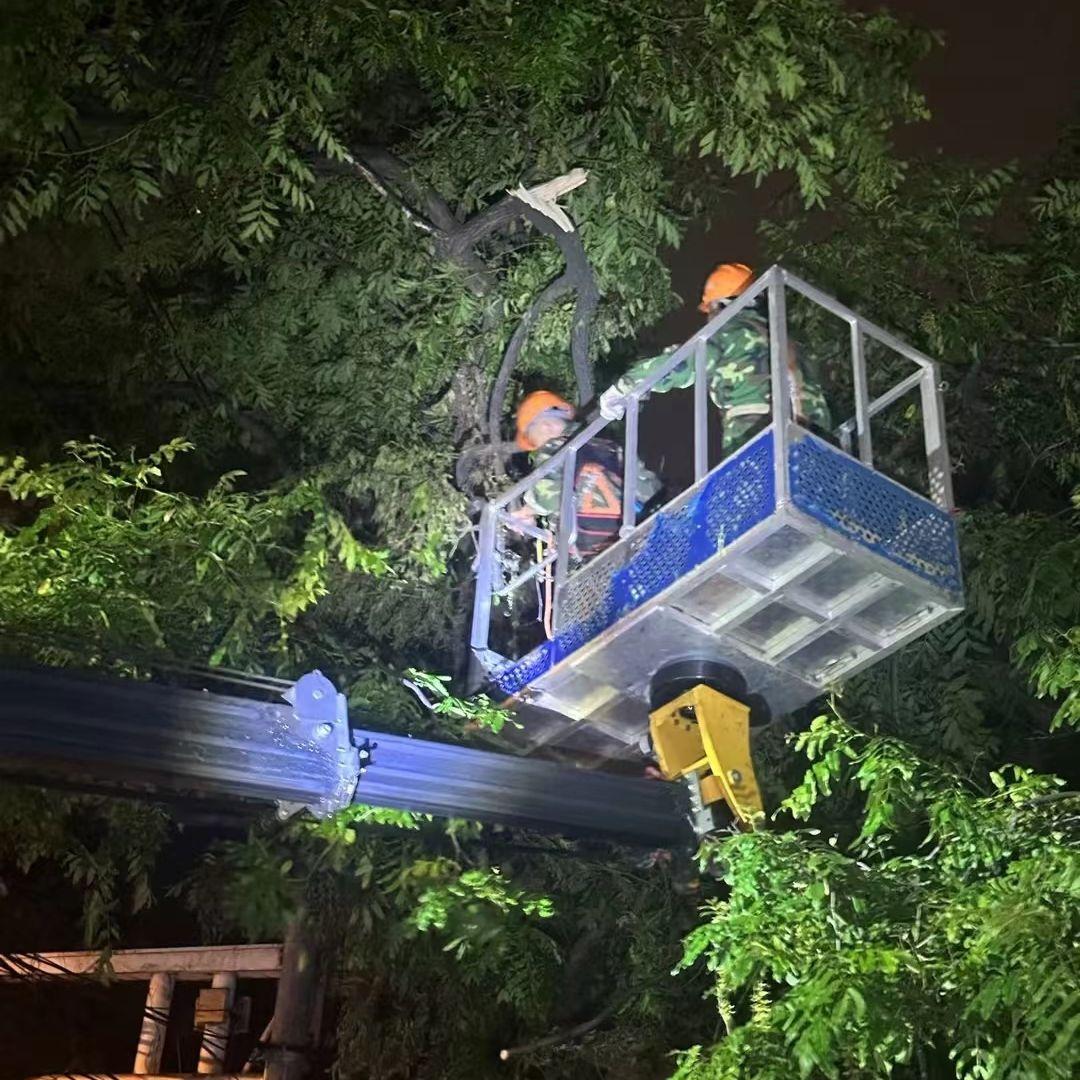 _绿化防台风_绿化台风暴雨天气应急处理