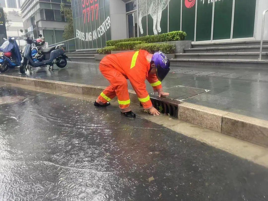 绿化台风暴雨天气应急处理__绿化防台风