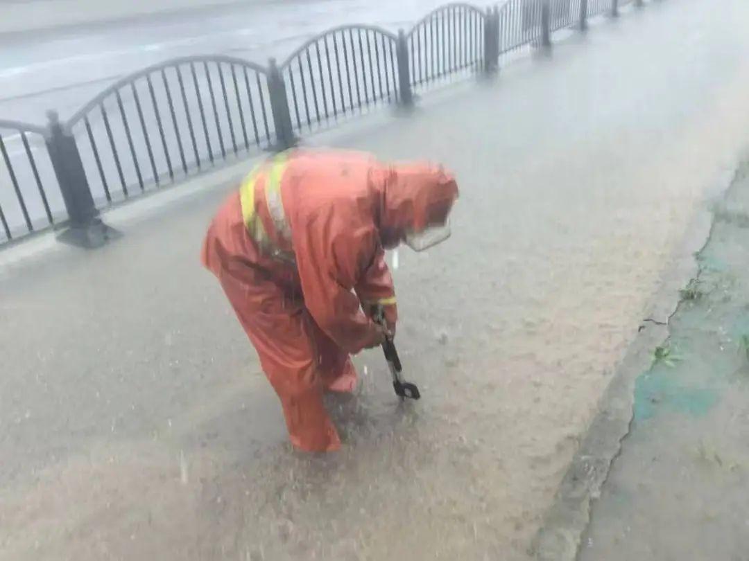 绿化台风暴雨天气应急处理__绿化防台风