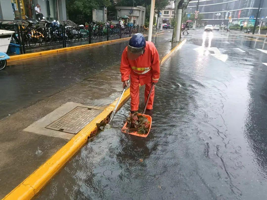 绿化防台风_绿化台风暴雨天气应急处理_